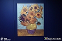 VBS_8122 - Van_Gogh_experience